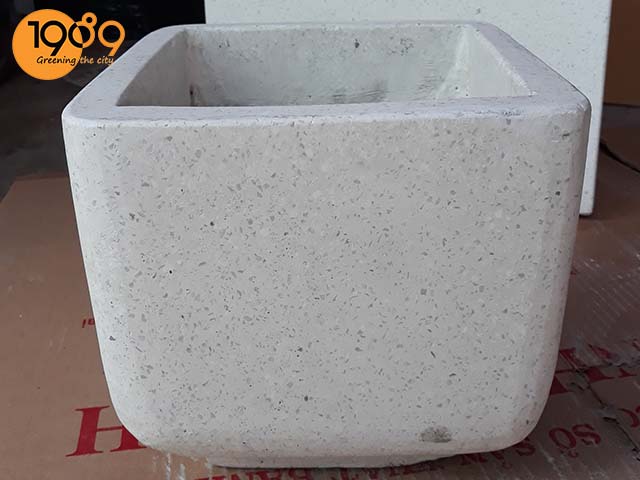 chậu lập phương vuông bo