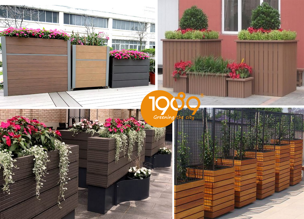 Chậu Trồng Cây Size Lớn