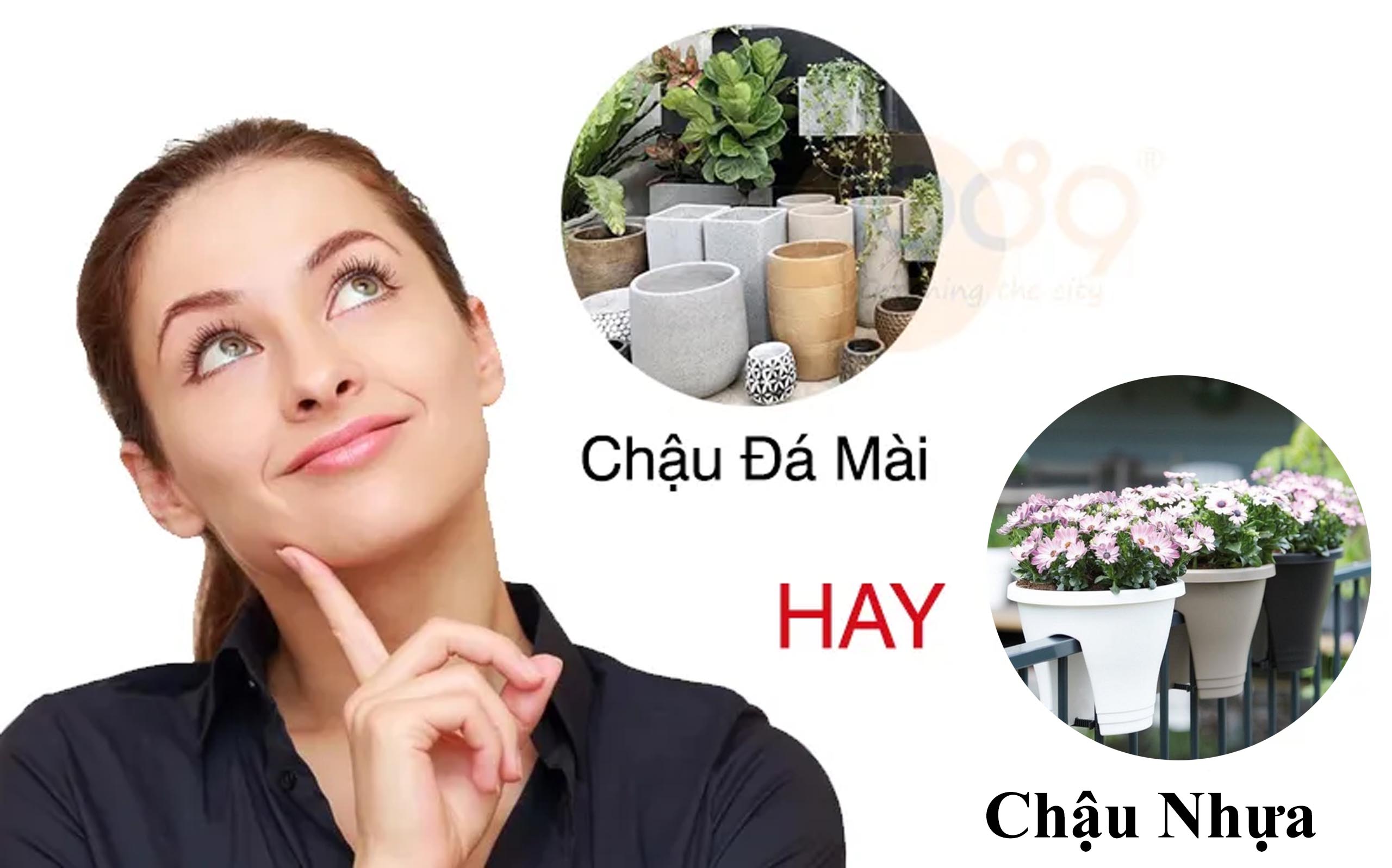 Chậu đá mài hay chậu nhựa