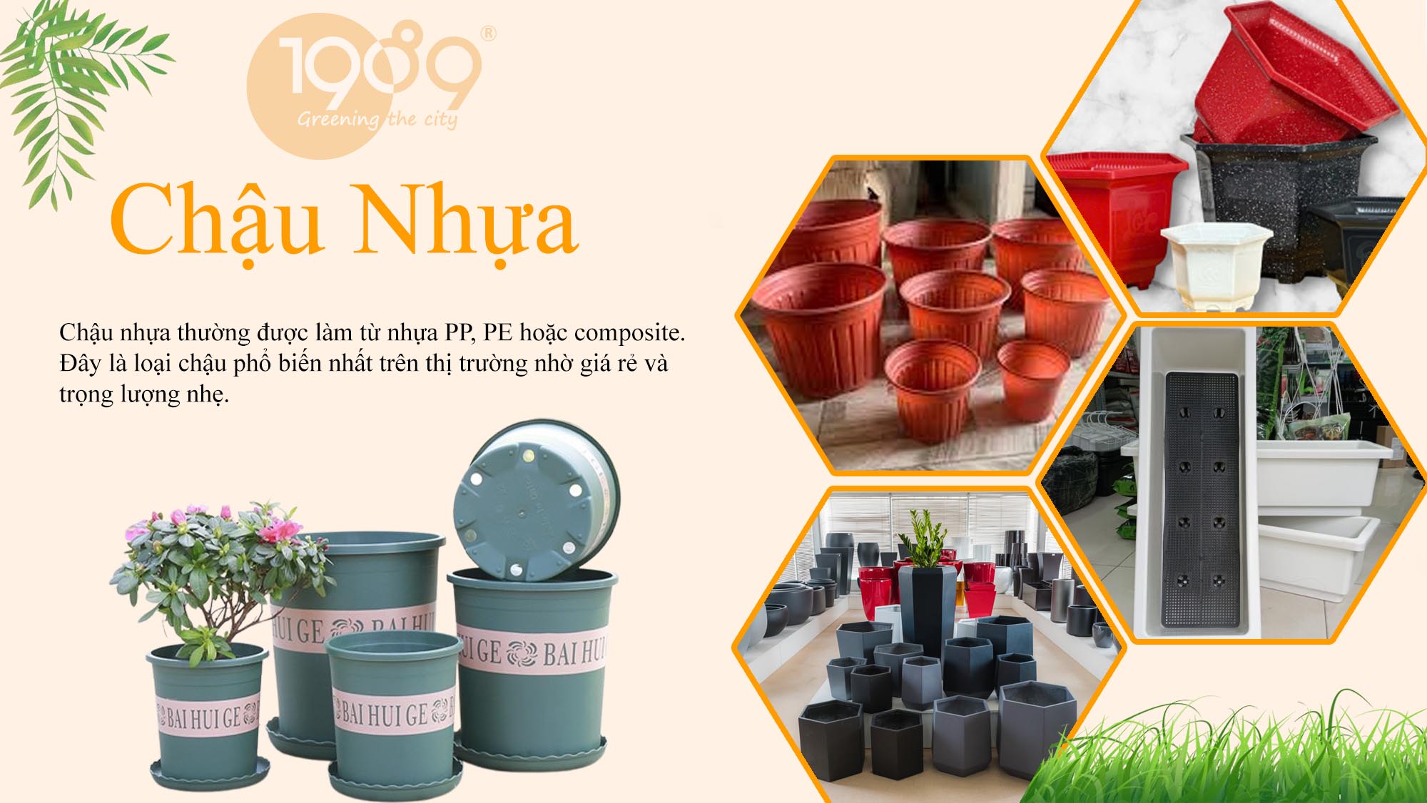 Chậu nhựa là gì?