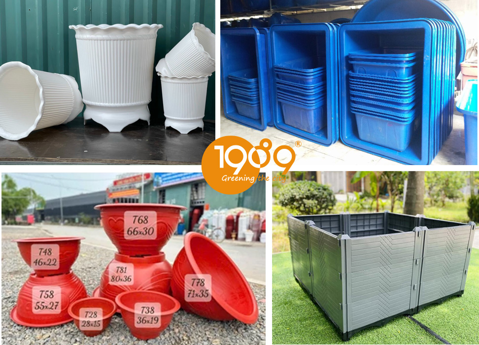 Chậu Trồng Cây Size Lớn