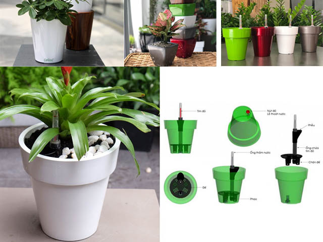 Chậu sơn cao cấp Catleza - chậu cây thông minh tự tưới nước