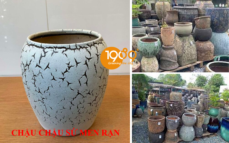 chậu sứ