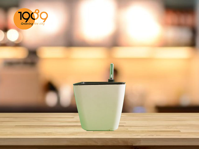 chậu thông minh trồng cây cảnh
