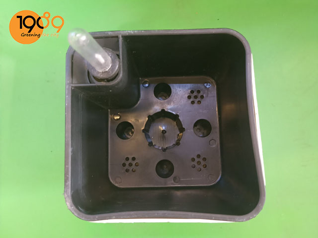 chậu thông minh trồng cây