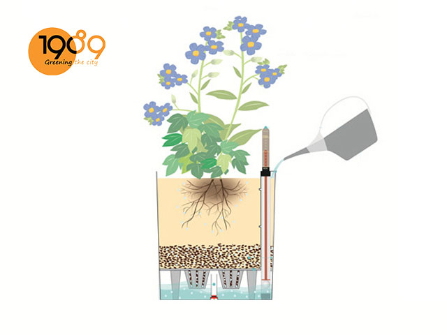 chậu thông minh tự tưới cây
