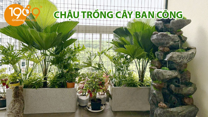 TOP 5+ MẪU CHẬU TRỒNG CÂY BAN CÔNG ĐẸP, BỀN NHẤT 2025 – GIÁ TỐT TỪ 1989