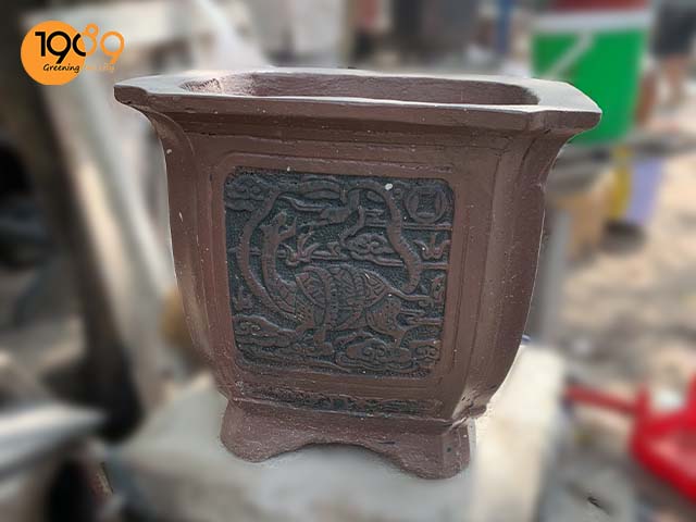 chậu trồng cây cảnh trang trí ngày tết huyen vu