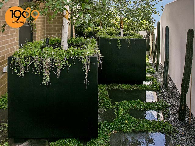 chậu trồng cây cỡ đại