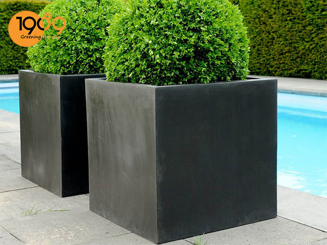 chậu trồng cây cỡ lớn vuông 1m