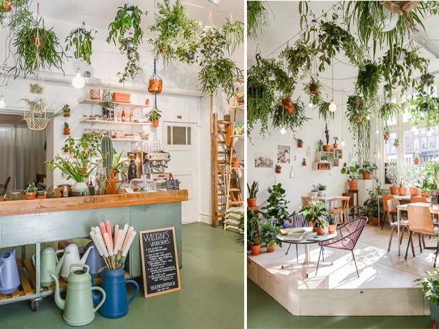 chậu trồng cây dành cho quán cafe đẹp
