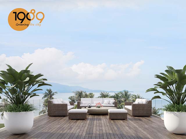 chậu trồng cây kiểng trên sân thượng nè