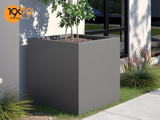 chậu trồng cây lớn