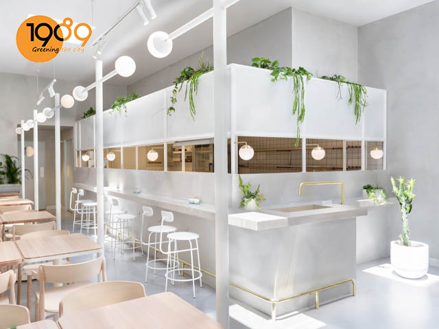 chậu trồng cây quán cafe phong cách bắc âu