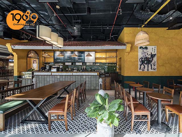 chậu trồng cây quán cafe phong cách công nghiệp bach ma hoang tu