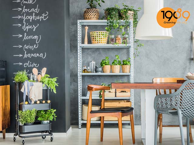 chậu trồng cây quán cafe phong cách công nghiệp chau nho