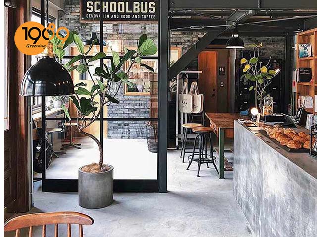 chậu trồng cây quán cafe phong cách công nghiệp