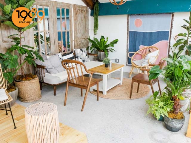 chậu trồng cây quán cafe phong cách TROPICAL 3