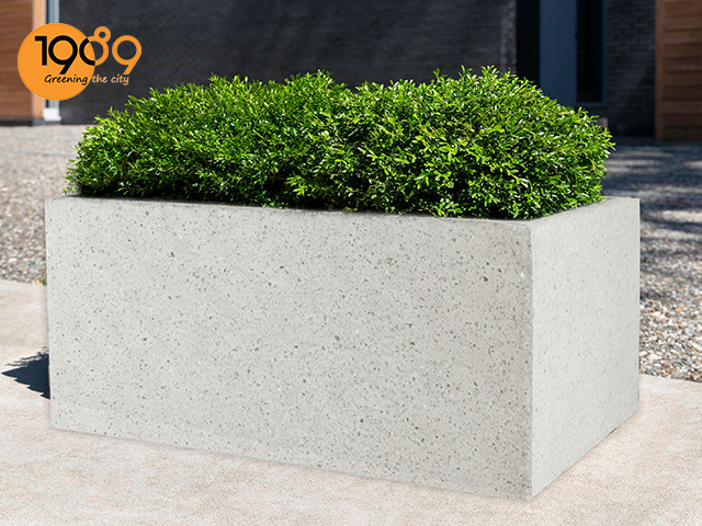 chậu trồng cây siêu lớn siêu to