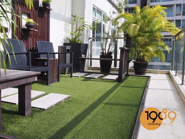 chậu trồng cây trên sân thượng