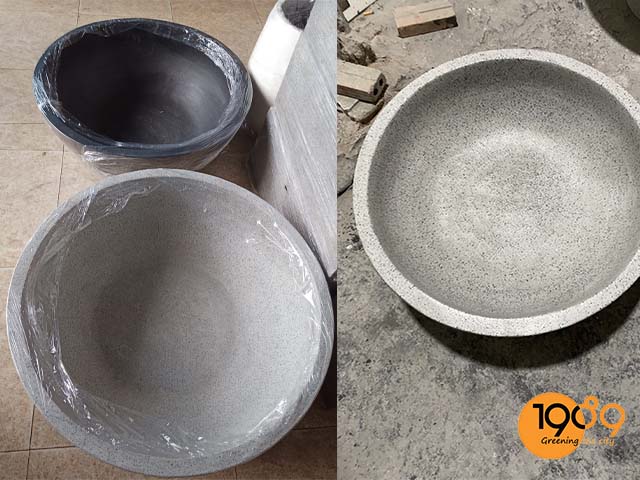 chậu trồng sen hcm