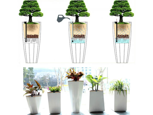 chậu tự dưỡng thông minh compossite