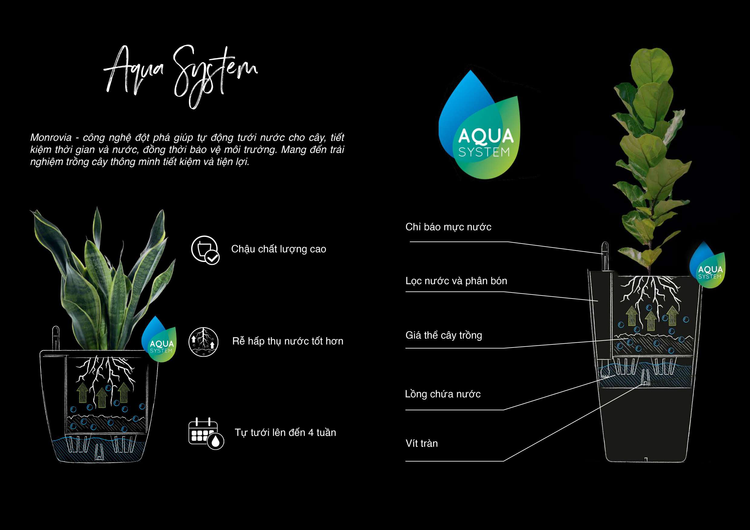 Chậu Tự Dưỡng Là Gì?