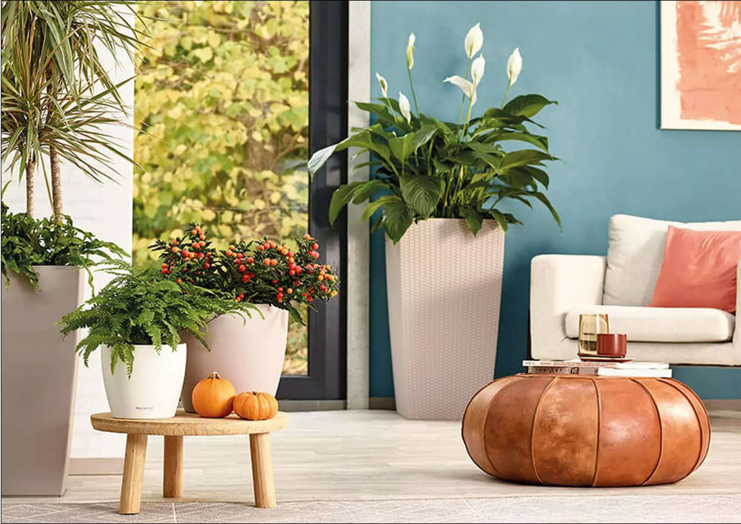 Chậu Tự Dưỡng - Giải Pháp Hoàn Hảo Cho Những Người Yêu Thích Trồng Cây