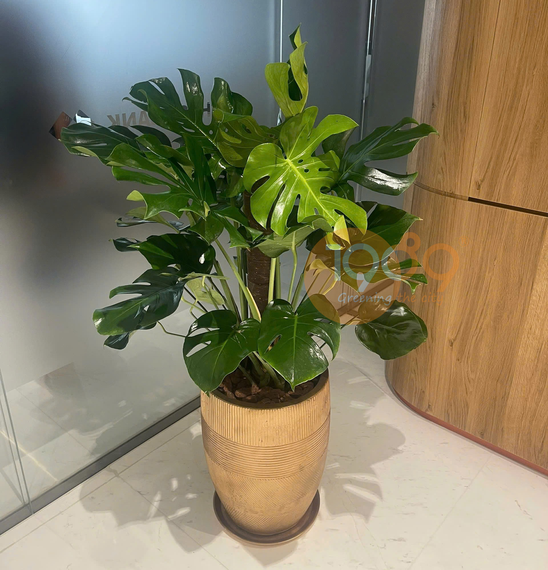 Bộ Sưu Tập Chậu Đá Mài Đẹp Bộ Sưu Tập Chậu Đá Mài Đẹp