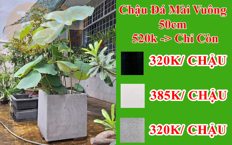CHẬU ĐÁ MÀI LÀ GÌ? ƯU NHƯỢC ĐIỂM & LÝ DO ĐƯỢC ƯA CHUỘNG NHẤT