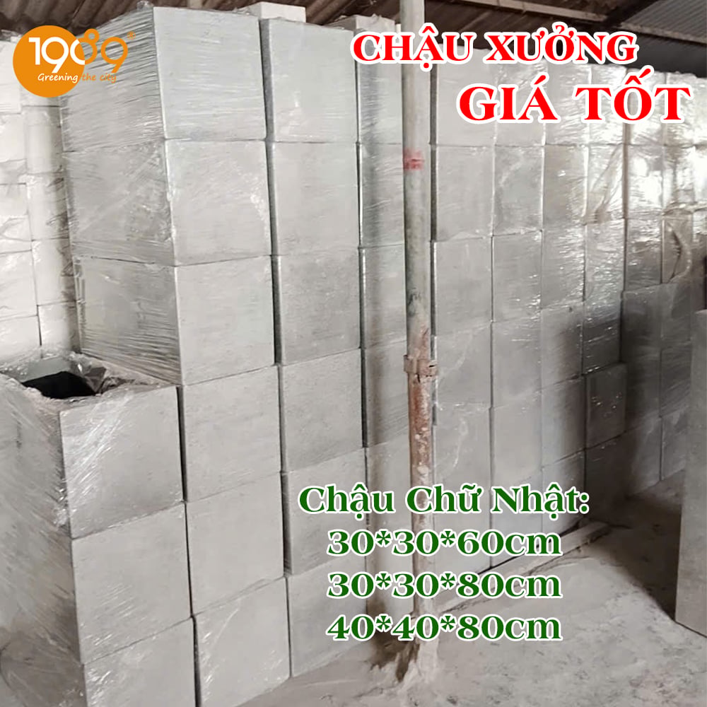 Chậu chữ nhật tại xưởng giá tốt