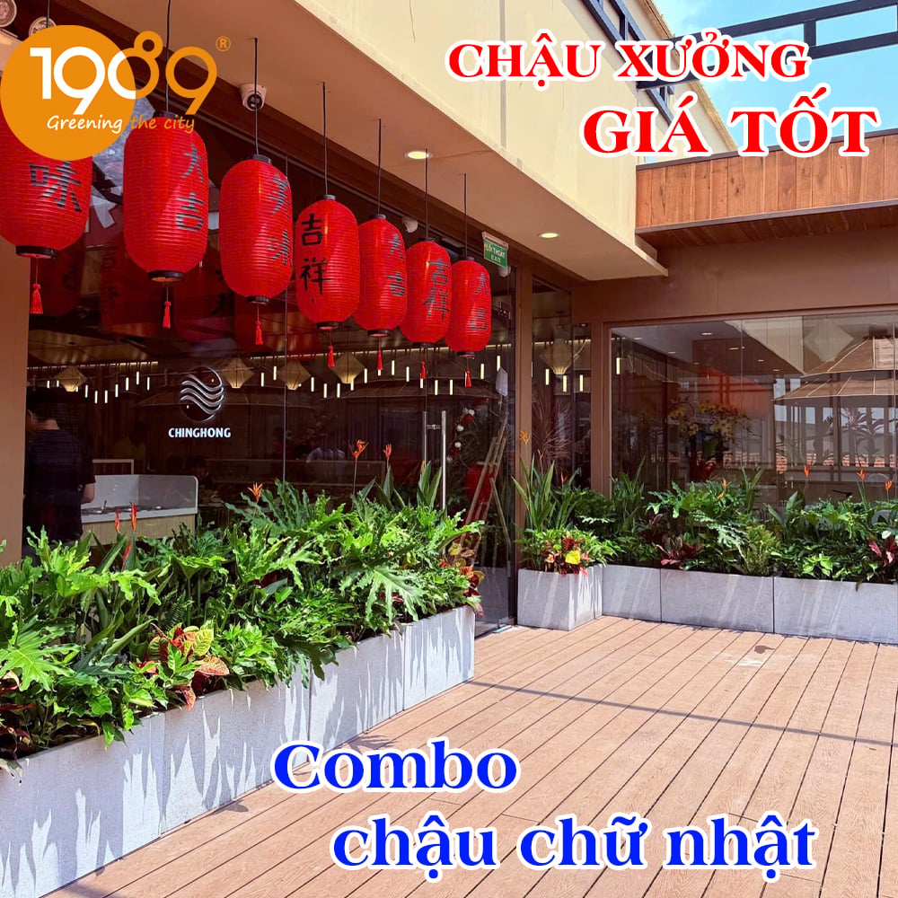 Chậu chữ nhật giá tốt sài gòn