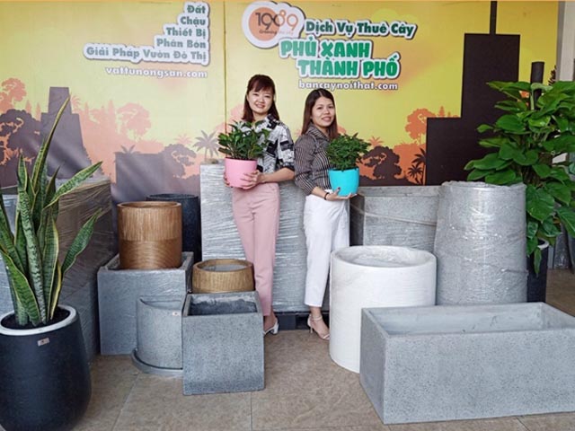 chậu xi măng đá mài chất lượng tphcm