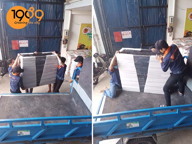 chậu xi măng đá mài chữ nhật cao 1m