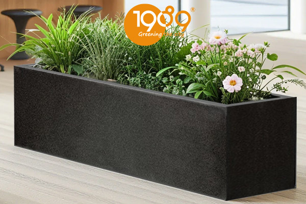 chậu xi măng đá mài chữ nhật trồng cây công trình