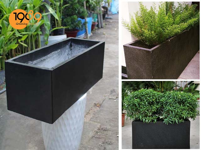 chậu xi măng đá mài chữ nhật màu đen