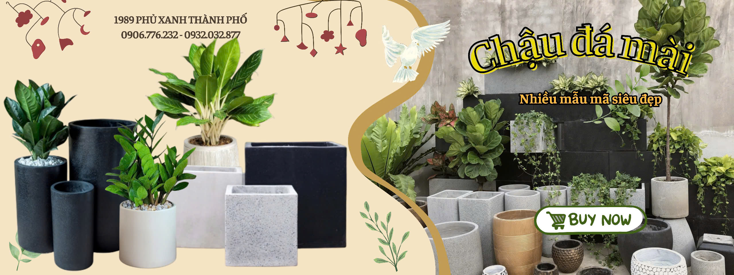 Chậu Trồng cây là gì - chậu đá mài trồng cây cảnh