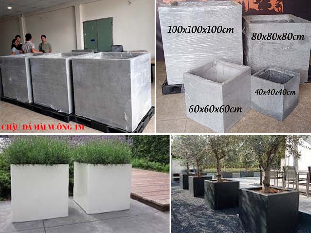 chậu xi măng đá mài dùng để trồng cây ăn quả