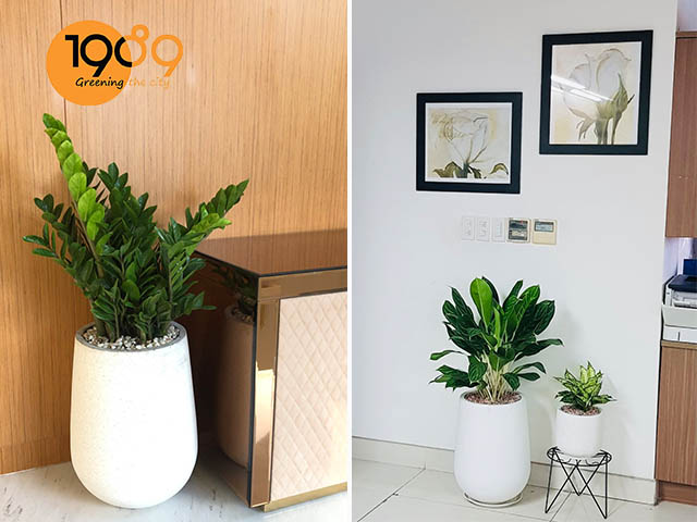 chậu xi măng đá mài giọt nước màu trắng