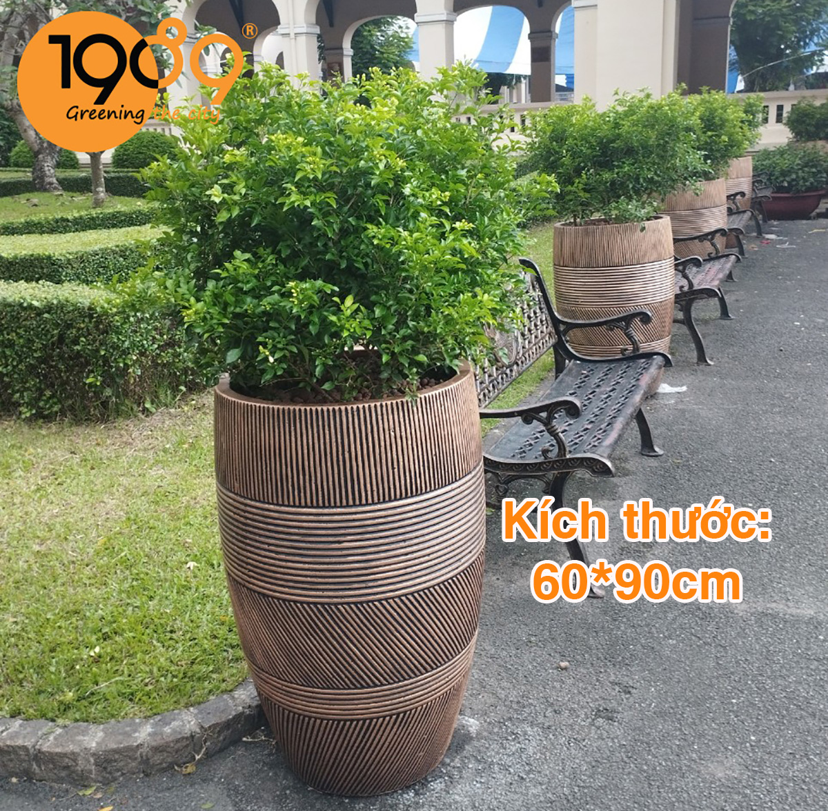 Chậu Xi Măng Đá Mài: Vật Phẩm Quốc Dân Không Thể Thiếu Trong Thiết Kế Kiến Trúc Hiện Đại