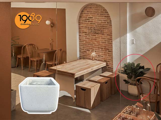 chậu xi măng đá mài lập phương bo màu trắng