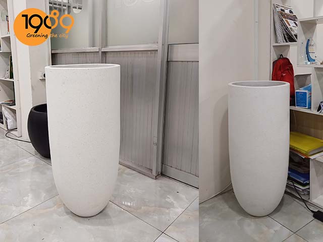 chậu xi măng đá mài ly bầu đáy trồng cây xanh