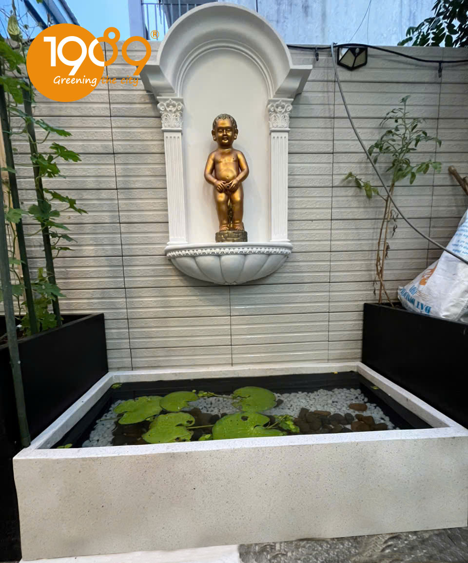 Kinh Nghiệm Vàng Trong Việc Nuôi Cá Trong Chậu Xi Măng