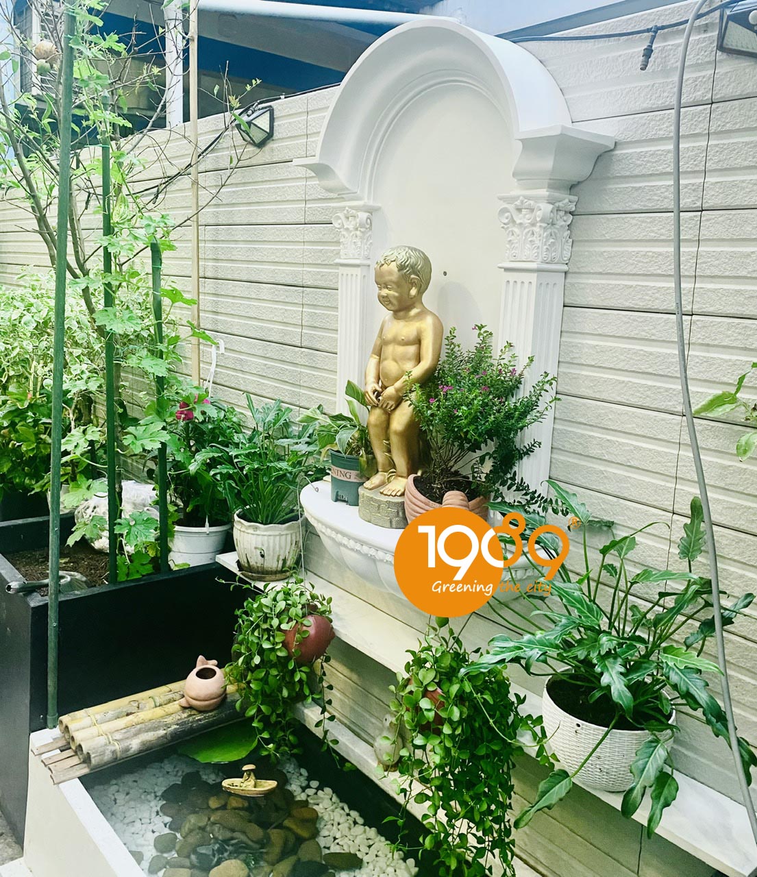 chậu xi măng đá mài nuôi cá, trồng sen