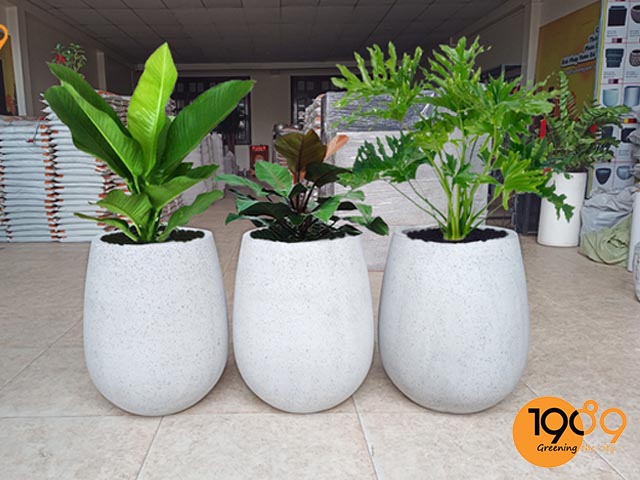 chậu xi măng đá mài oval