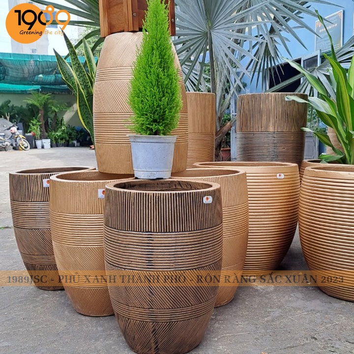 Chậu xi măng là gì