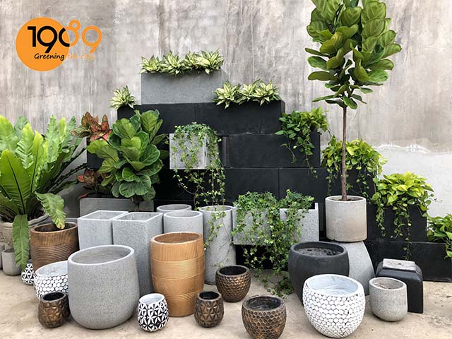 Chậu Xi Măng Đá Mài - Bí Quyết Lựa Chọn Cho Mỗi Không Gian