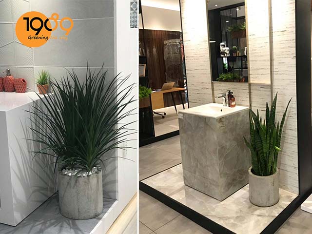 chậu xi măng đá mài tròn trụ màu xám