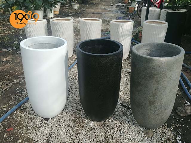 chậu xi măng đá mài trồng cây cảnh 1989 hcm a