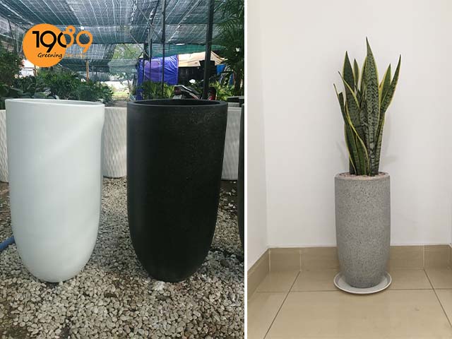 chậu xi măng đá mài trồng cây cảnh đẹp 1989